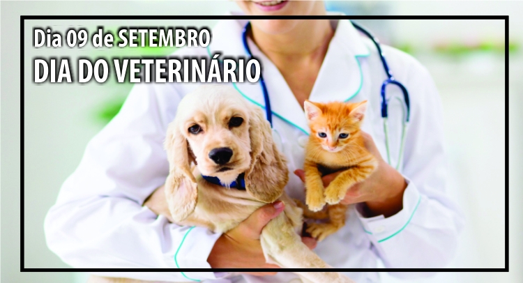 Capa da notícia